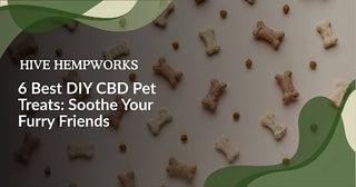 6 Best DIY CBD Pet Treats: Soothe Your Furry Friends